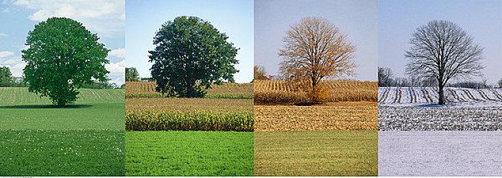 《我的孩子勒本斯伯恩 重制版》Steam页面上线 支持简中